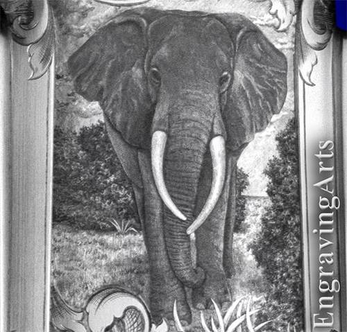 Elephant #5