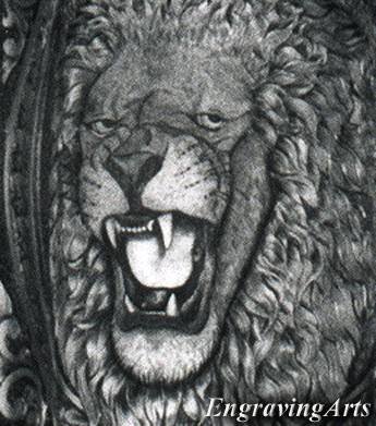 Lion head close-up